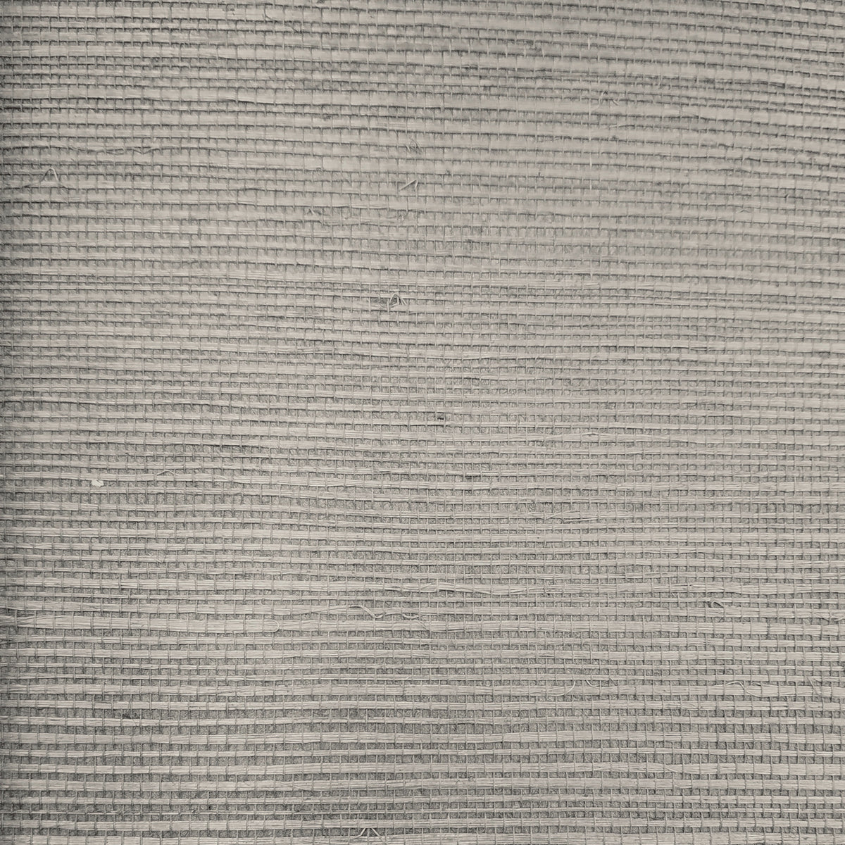 MAGUEY SISAL - Grasscloth And Naturals - Gr1045nw