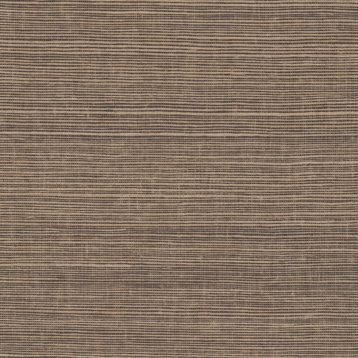 MAGUEY SISAL - Grasscloth And Naturals - Vg4408nw