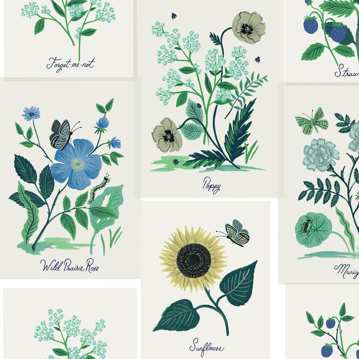 BOTANICAL PRINTS - Rifle Paper 2Nd Edition - Rp7335