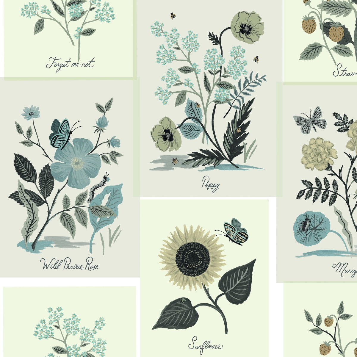 BOTANICAL PRINTS - Rifle Paper 2Nd Edition - Rp7336