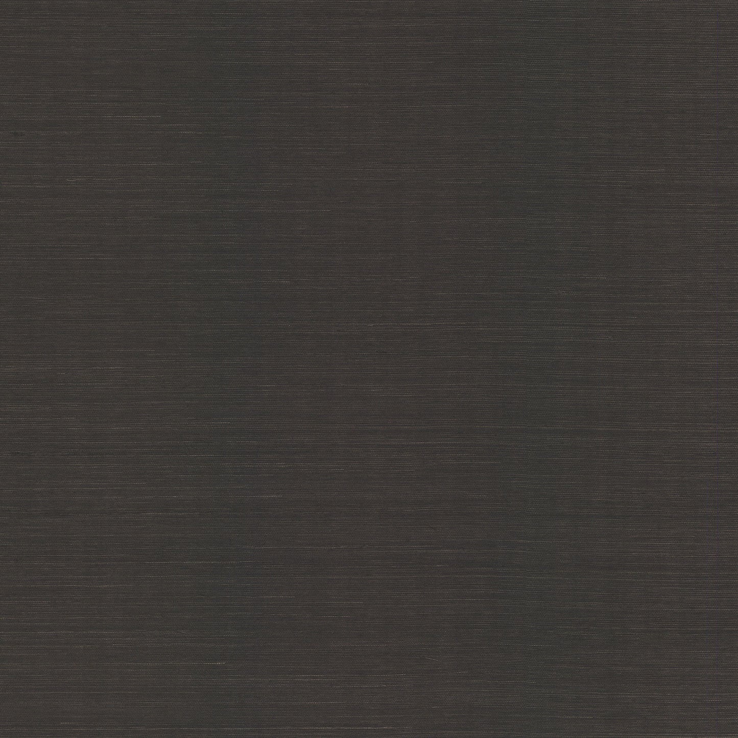 AB2195 - Blooms Second Edition Wallpaper Maguey Sisal