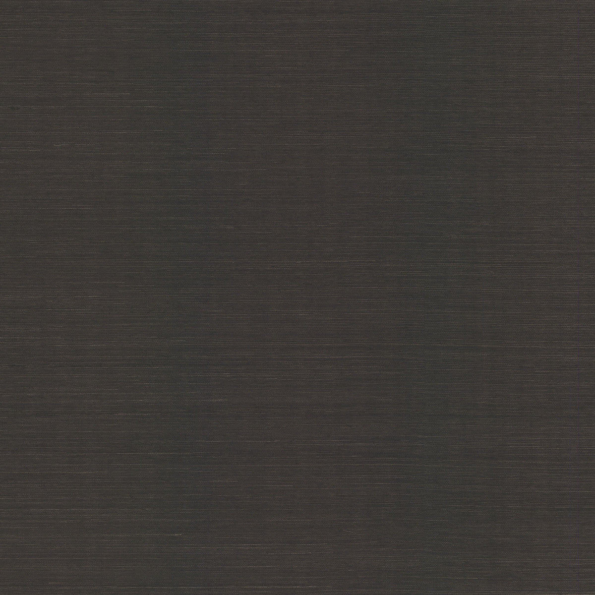 MAGUEY SISAL - Grasscloth And Naturals - Ab2195nw