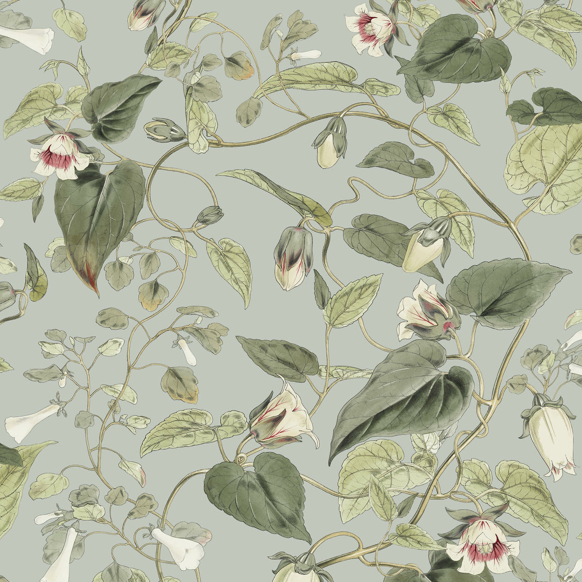 MOON FLOWER - Blooms - Bl1712