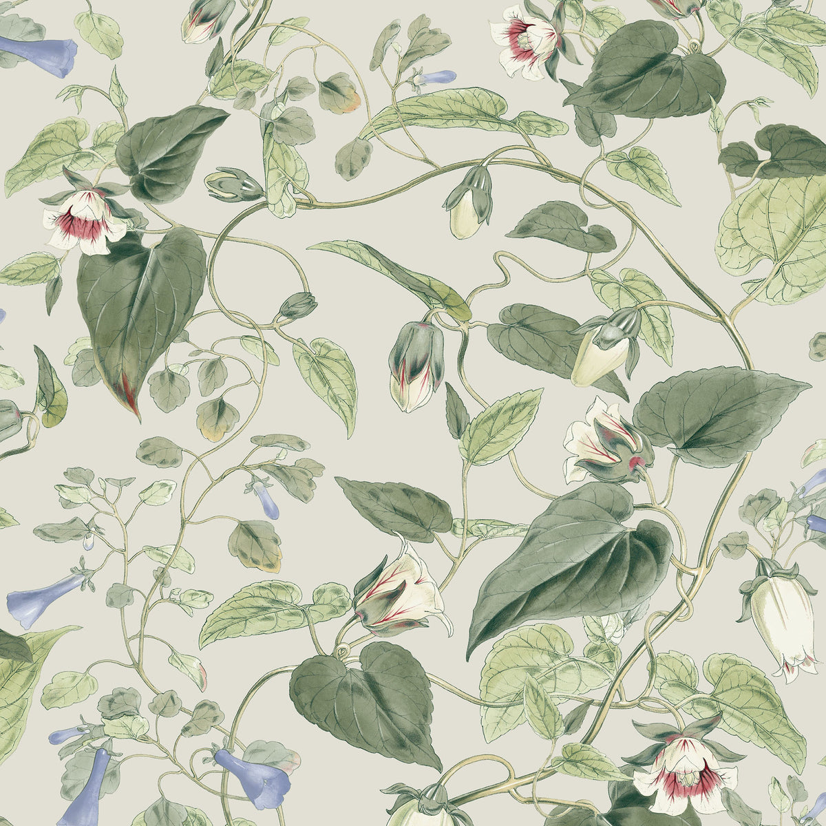 MOON FLOWER - Blooms - Bl1713