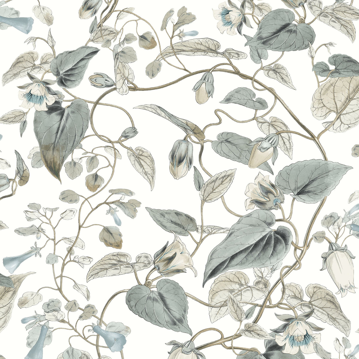 MOON FLOWER - Blooms - Bl1715