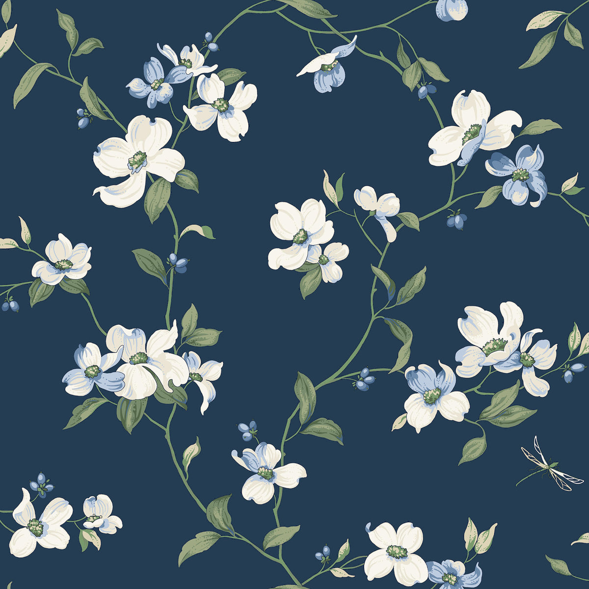 DOGWOOD - Blooms - Bl1761