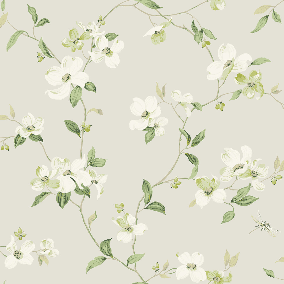 DOGWOOD - Blooms - Bl1762