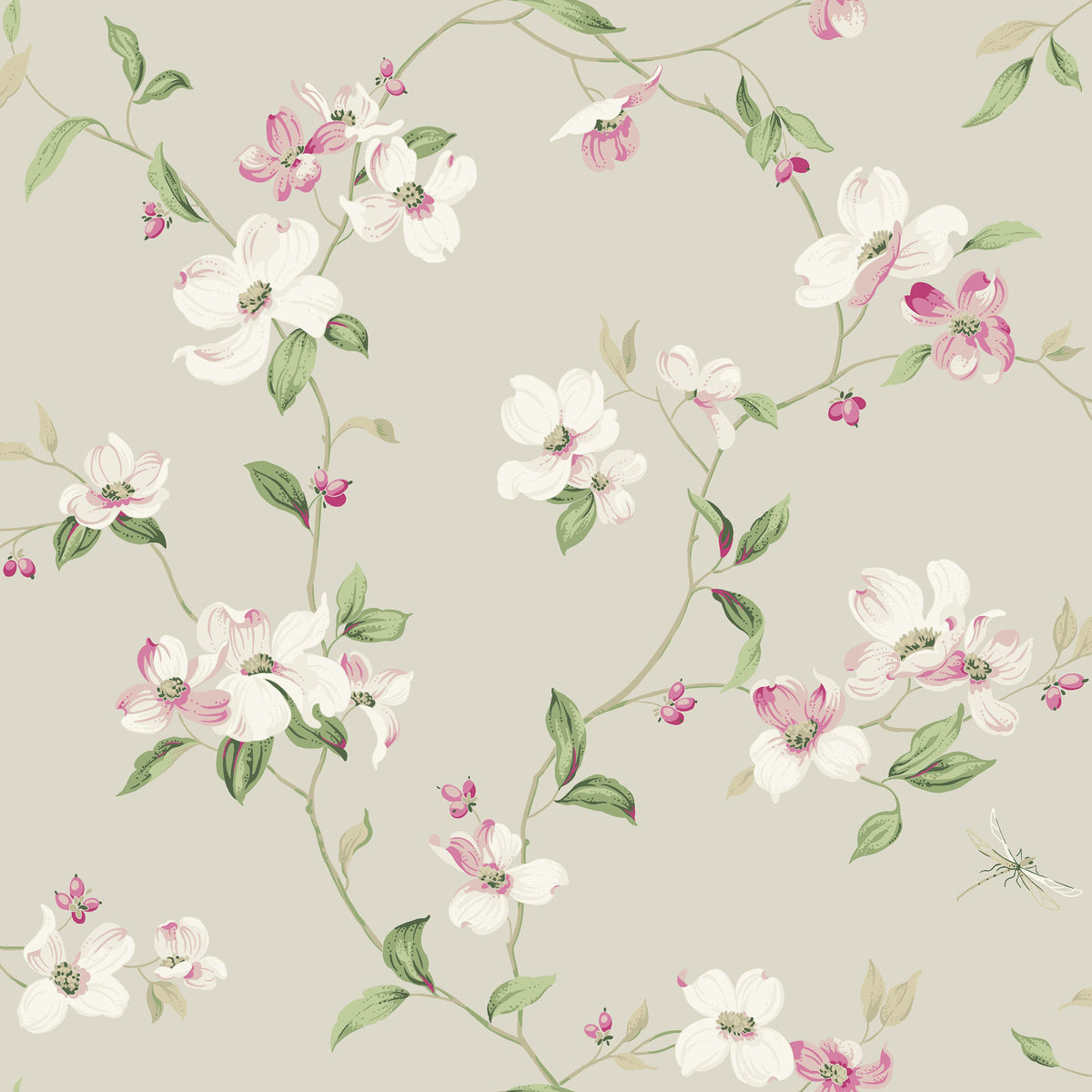 DOGWOOD - Blooms - Bl1763
