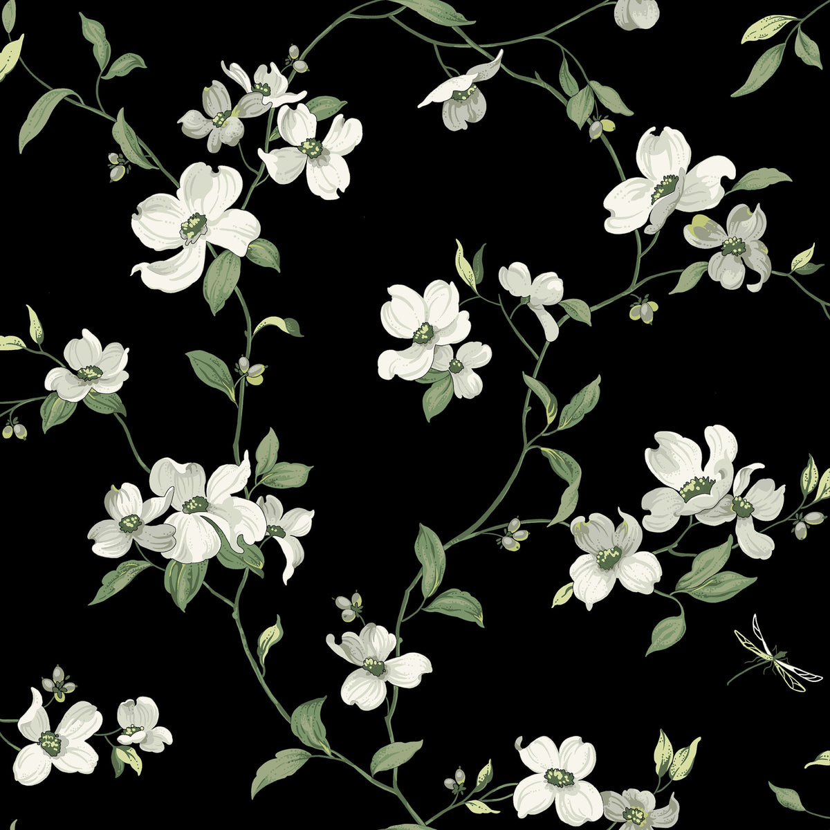 DOGWOOD - Blooms - Bl1764