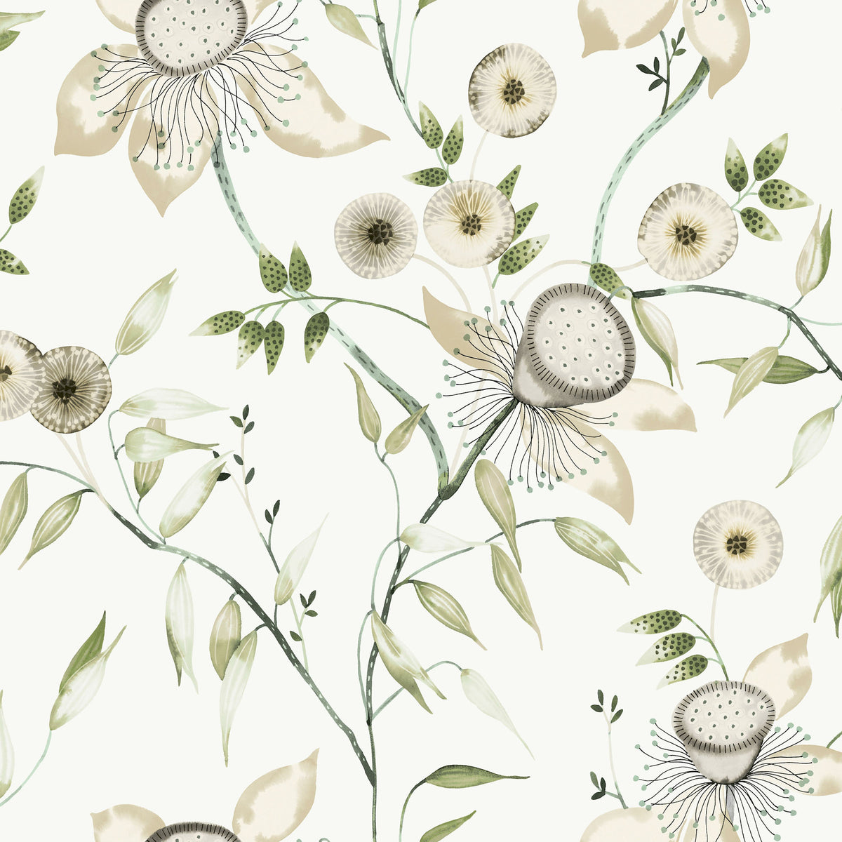 DREAM BLOSSOM - Blooms - Bl1793