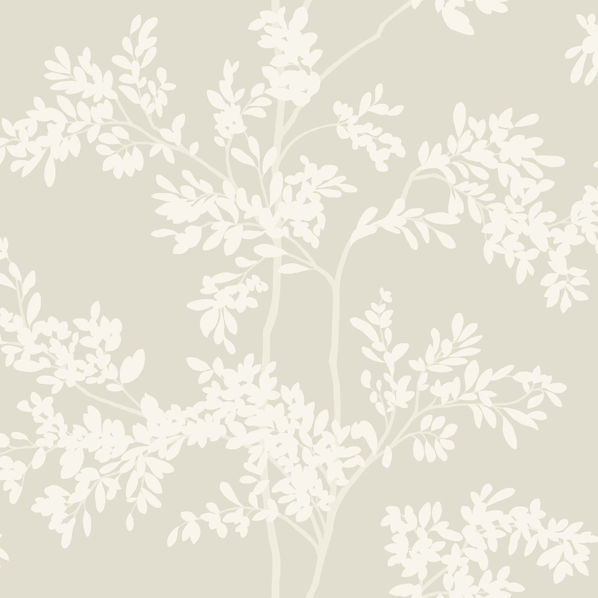 LUNARIA SILHOUETTE - Blooms - Bl1805