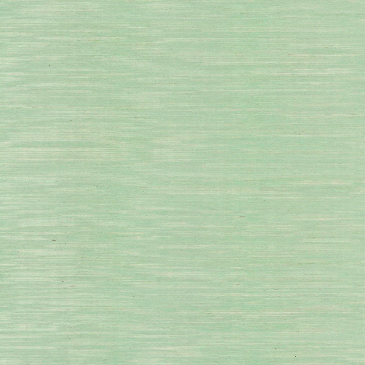 MAGUEY SISAL - Grasscloth And Naturals - Bl1825nw