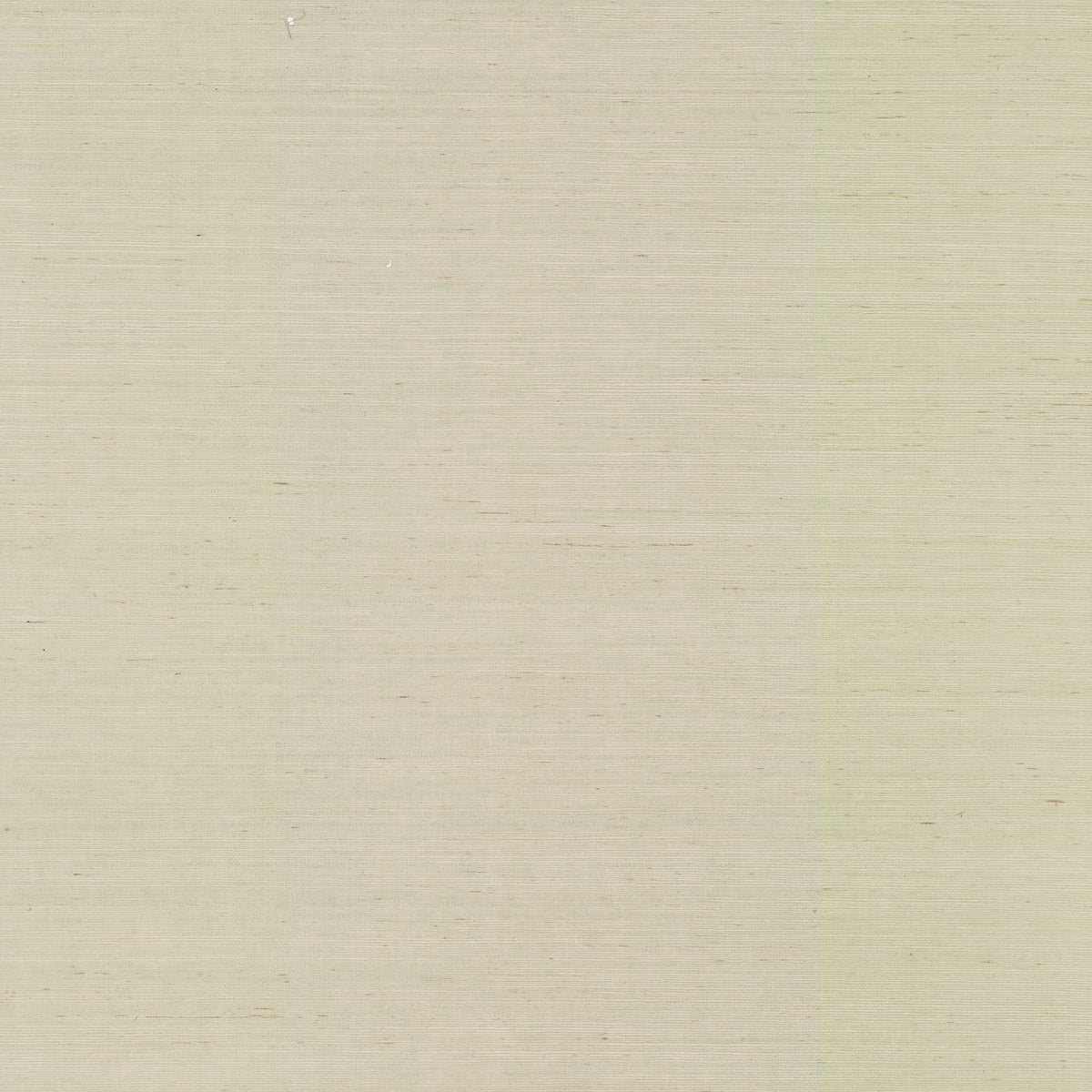 MAGUEY SISAL - Grasscloth And Naturals - Nz0791nw