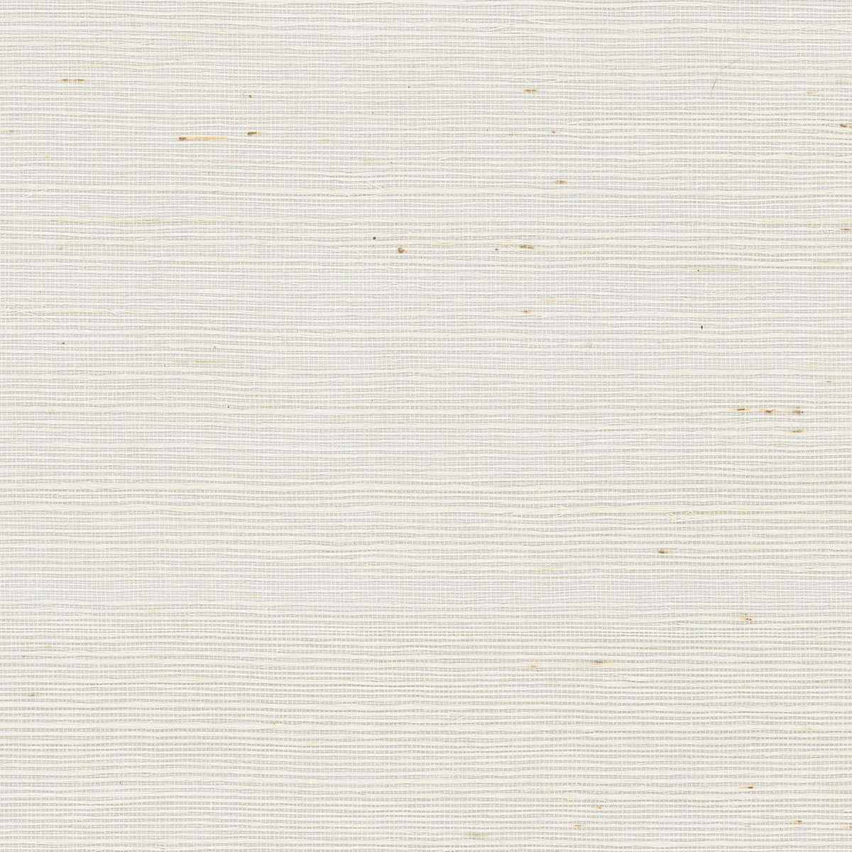 MAGUEY SISAL - Grasscloth And Naturals - Vg0000nw