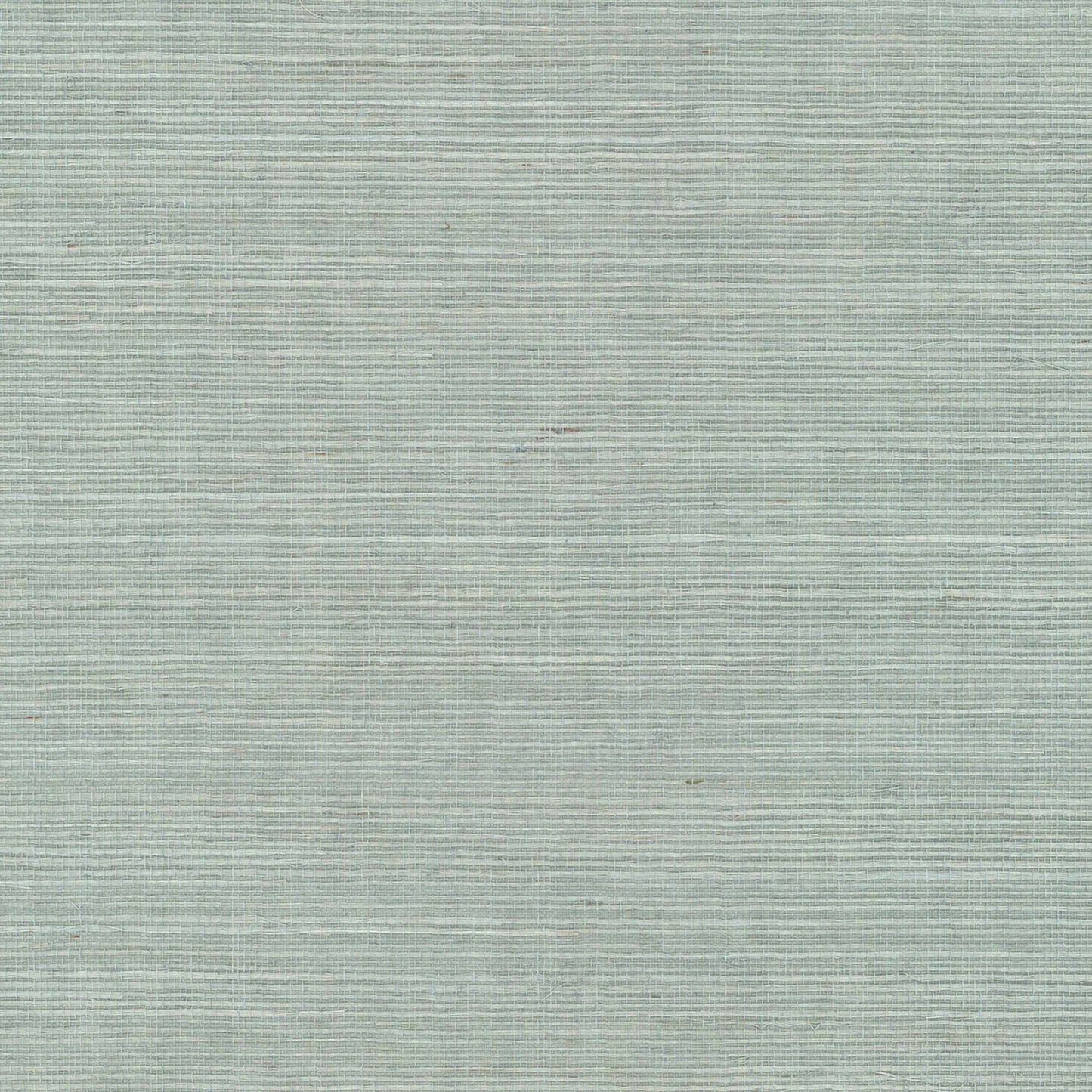 VX2269 - Blooms Second Edition Wallpaper Maguey Sisal