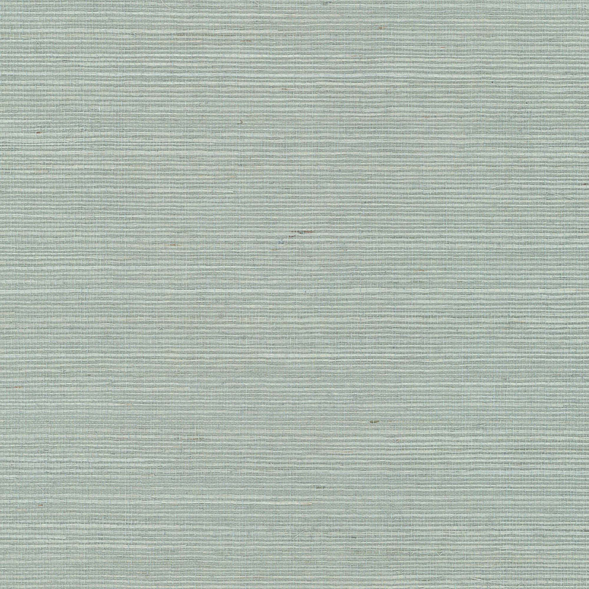 MAGUEY SISAL - Grasscloth And Naturals - Vx2269nw