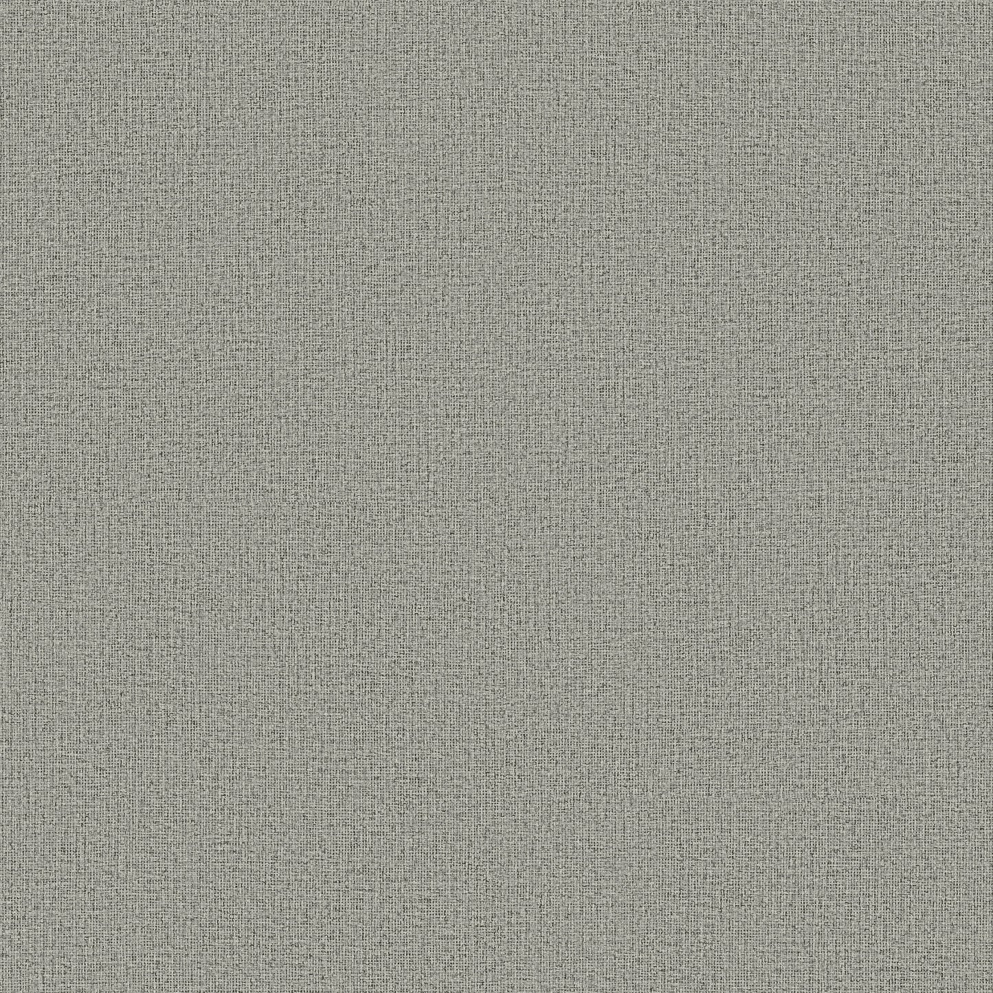 ND3010N - Natural Digest Wallpaper Dandy