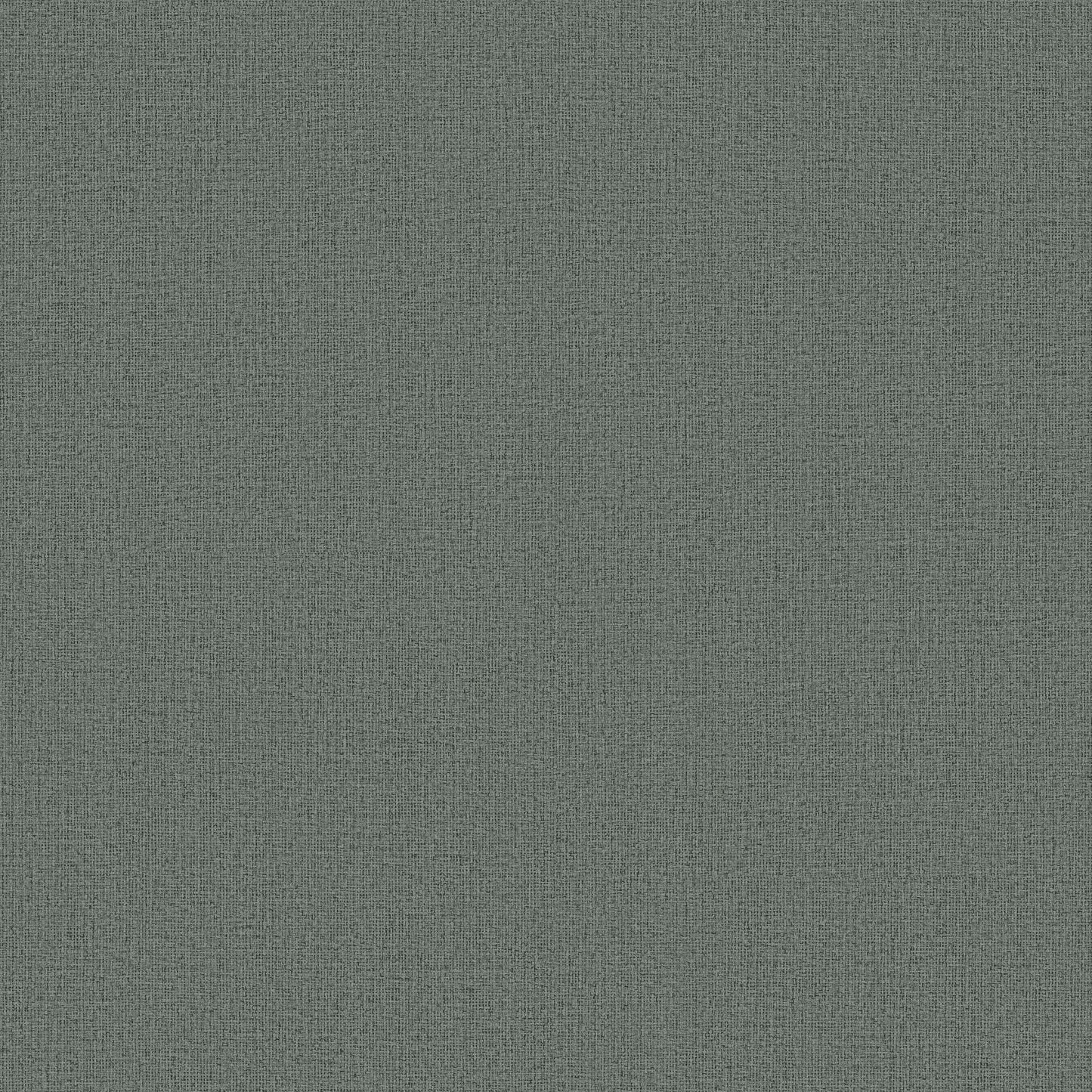 ND3011N - Natural Digest Wallpaper Dandy