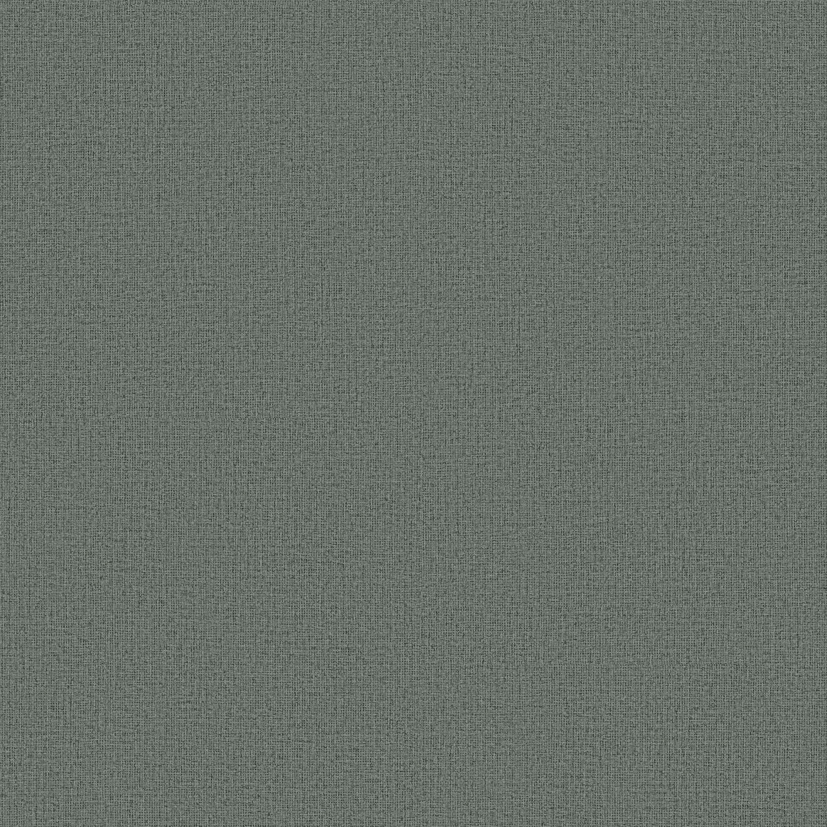 DANDY - Natural Digest - Nd3011n