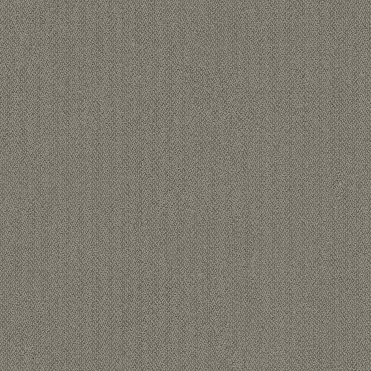 GIVE & TAKE - Natural Digest - Nd3025n