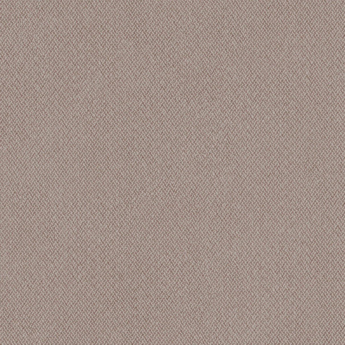 GIVE & TAKE - Natural Digest - Nd3026n