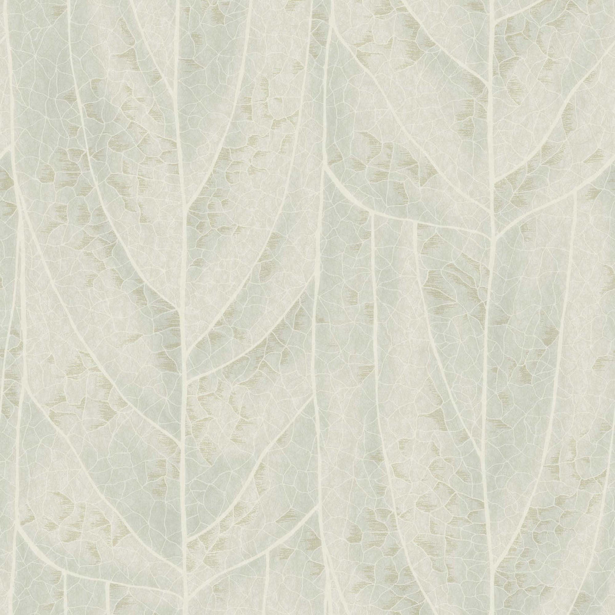 DICOT - Candice Olson Natural Discovery - Nt6142