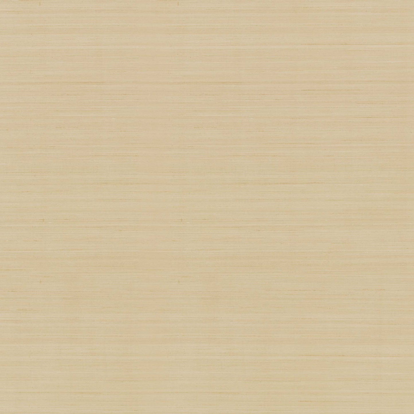 NT6209N -Candice Olson Natural Discovery Wallpaper Quiet Vista