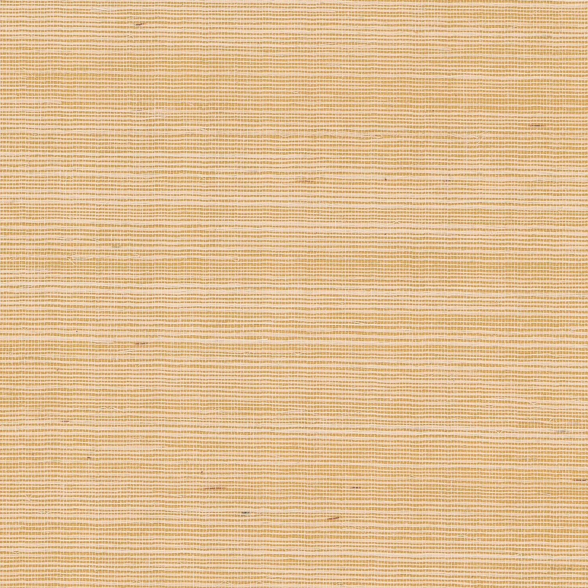 MAGUEY SISAL - Grasscloth And Naturals - Gv0111nw