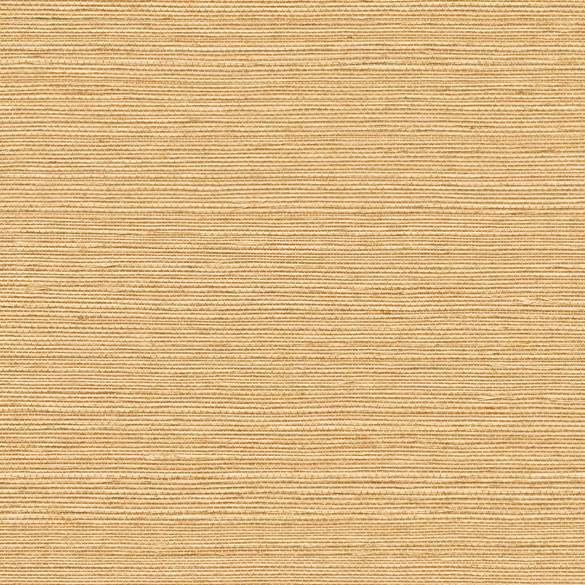 MAGUEY SISAL - Grasscloth And Naturals - Gv0112nw