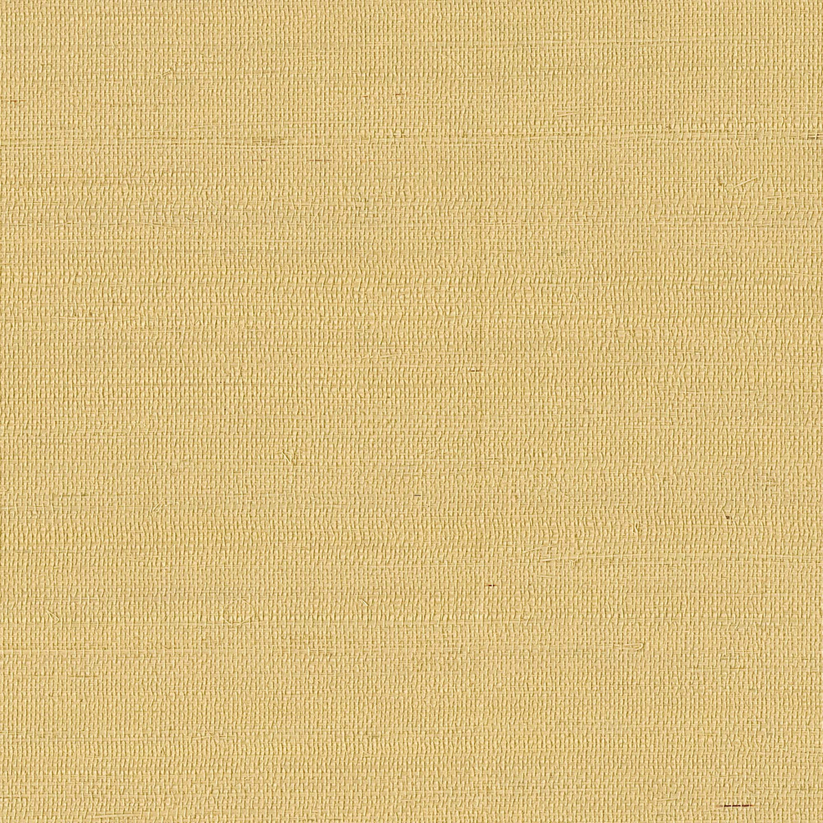 MAGUEY SISAL - Grasscloth And Naturals - Gv0113nw