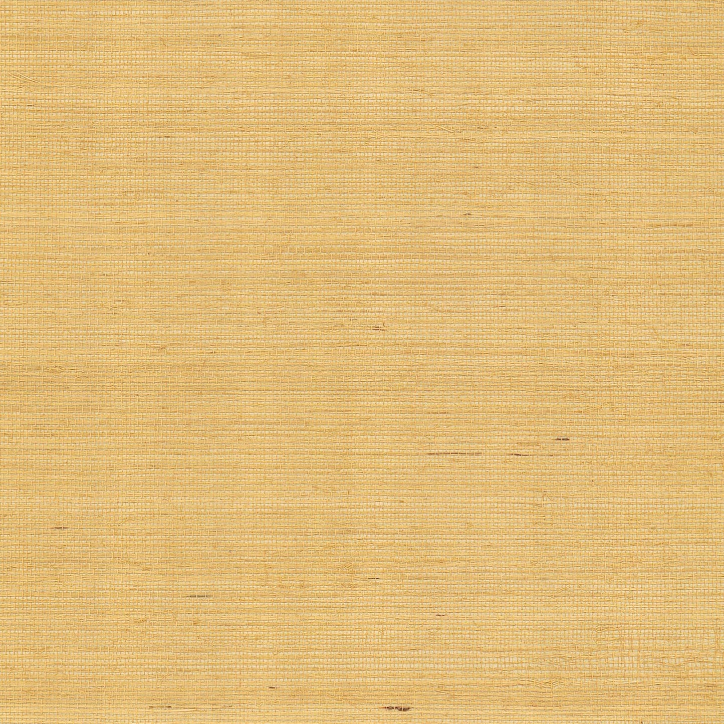 GV0114NW - Grasscloth And Natural Resource Maguey Sisal