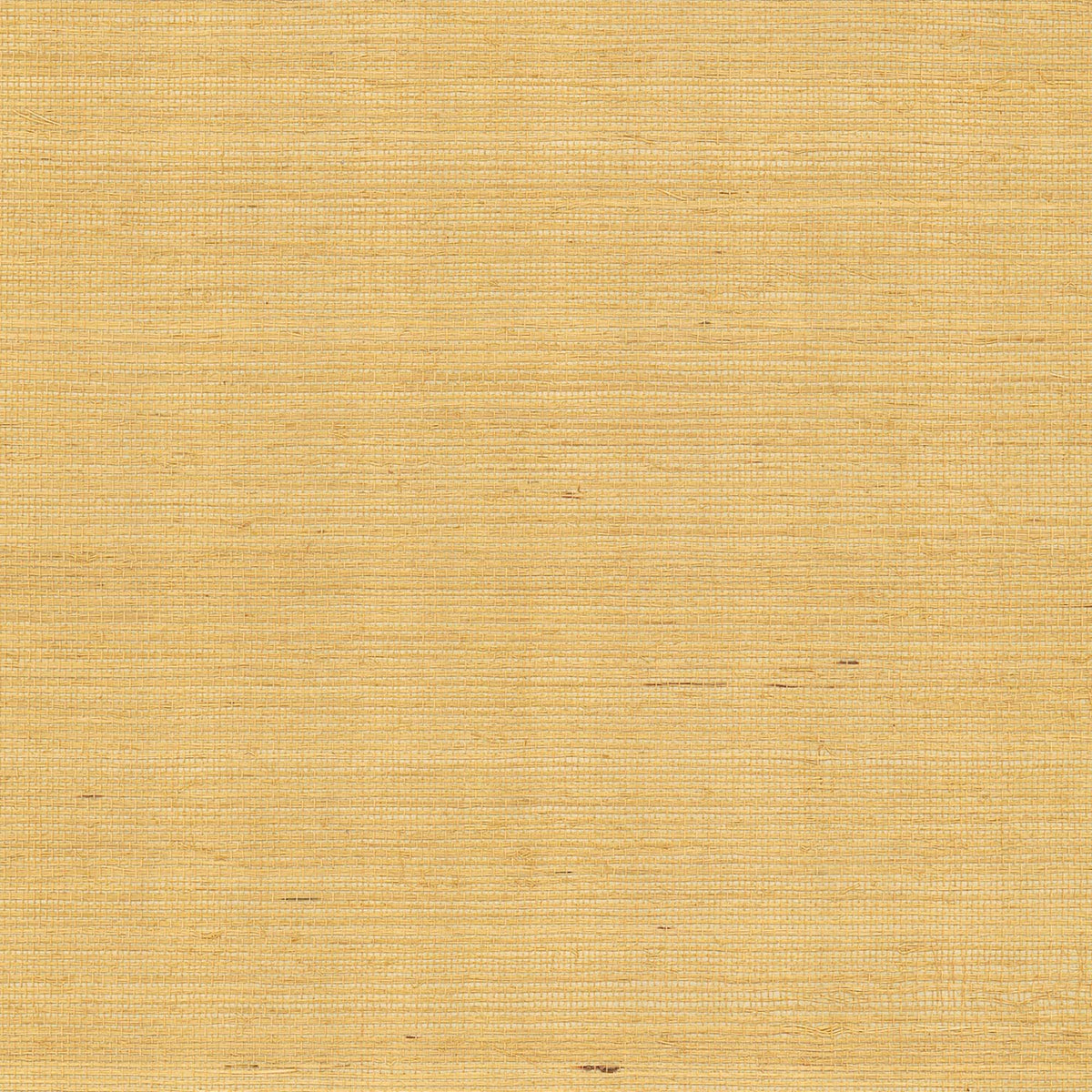 MAGUEY SISAL - Grasscloth And Naturals - Gv0114nw