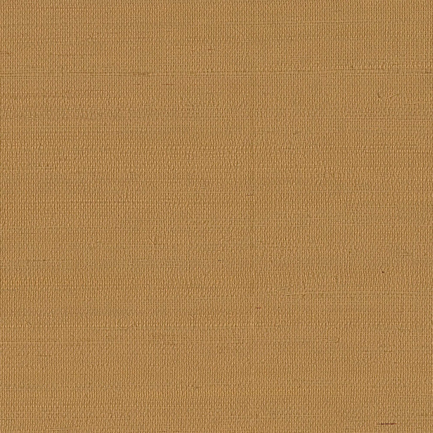 GV0115NW - Grasscloth And Natural Resource Maguey Sisal