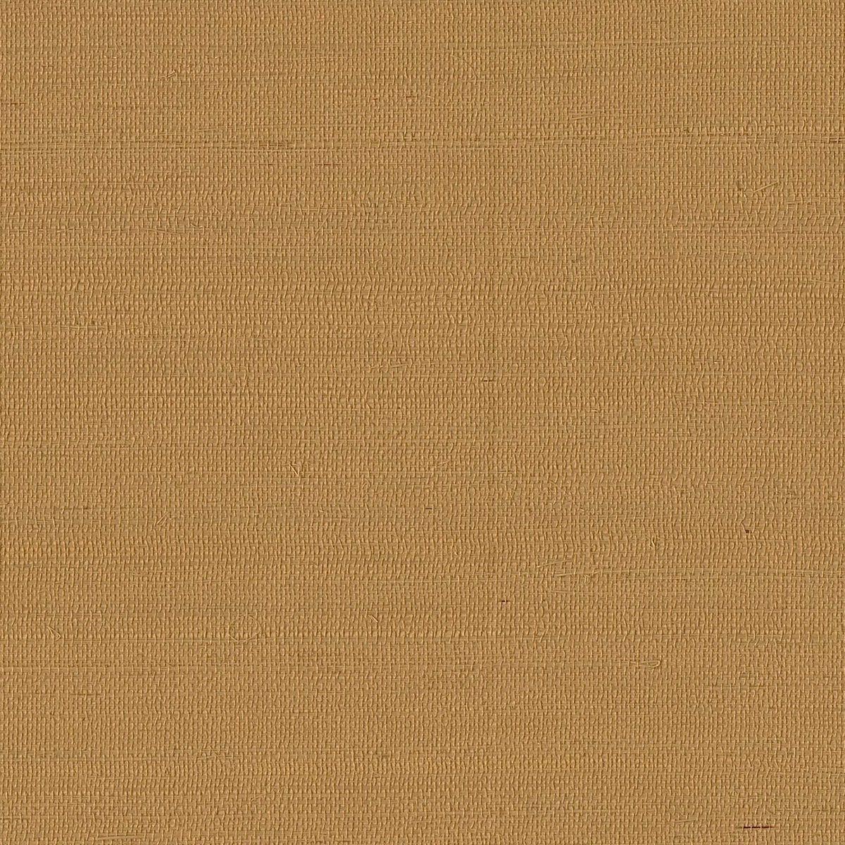 MAGUEY SISAL - Grasscloth And Naturals - Gv0115nw