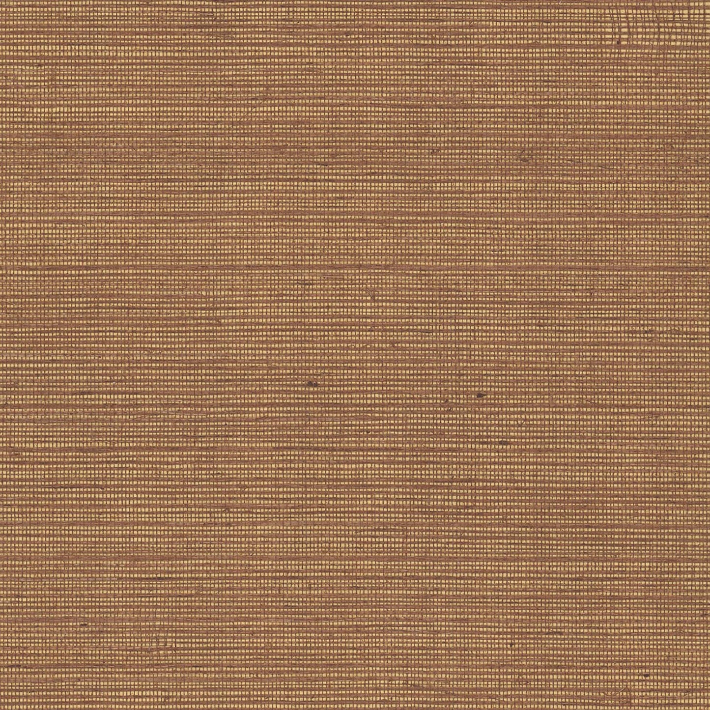 GV0116NW - Grasscloth And Natural Resource Maguey Sisal