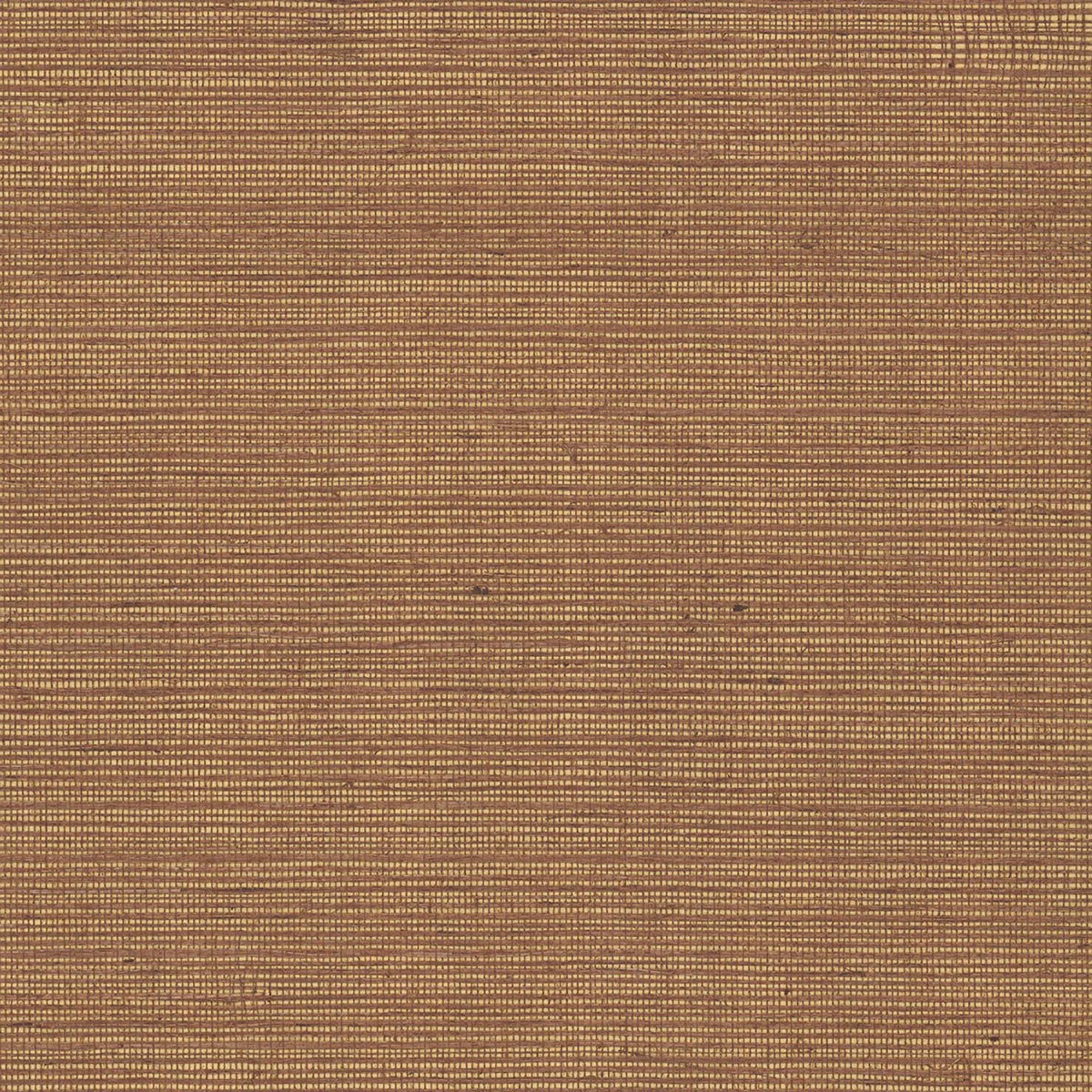 MAGUEY SISAL - Grasscloth And Naturals - Gv0116nw