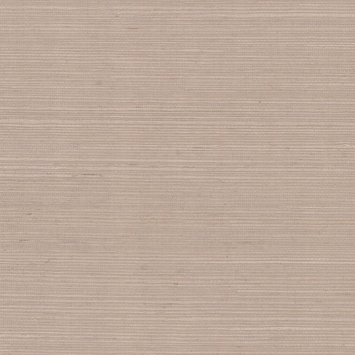 MAGUEY SISAL - Grasscloth And Naturals - Gv0119nw