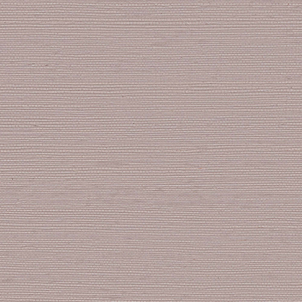 MAGUEY SISAL - Grasscloth And Naturals - Gv0120nw
