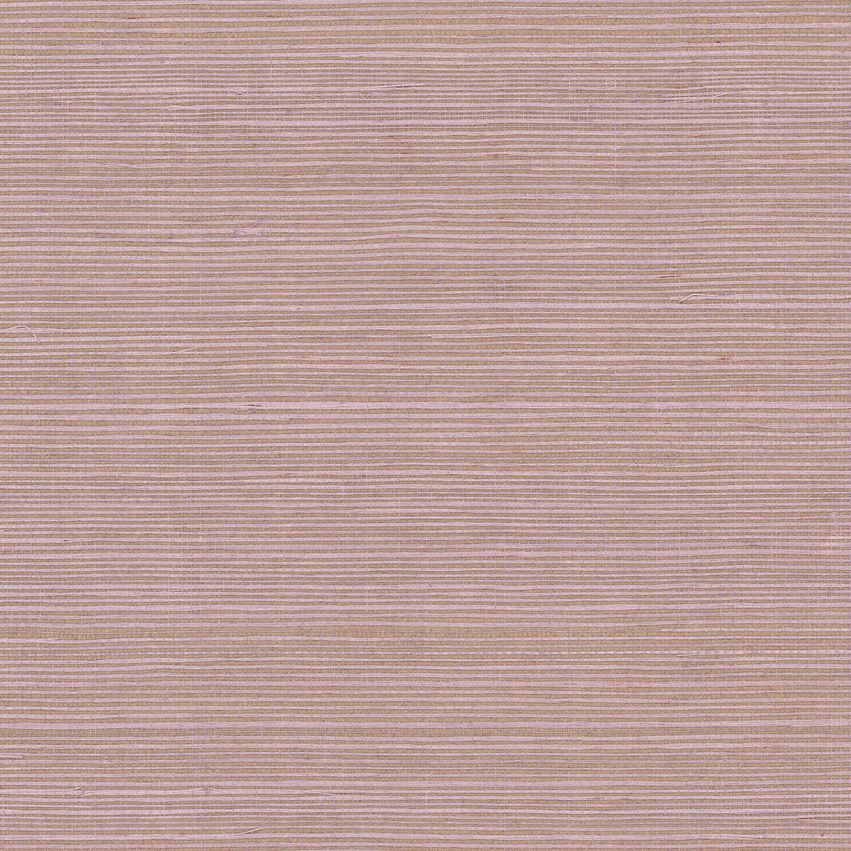 MAGUEY SISAL - Grasscloth And Naturals - Gv0121nw