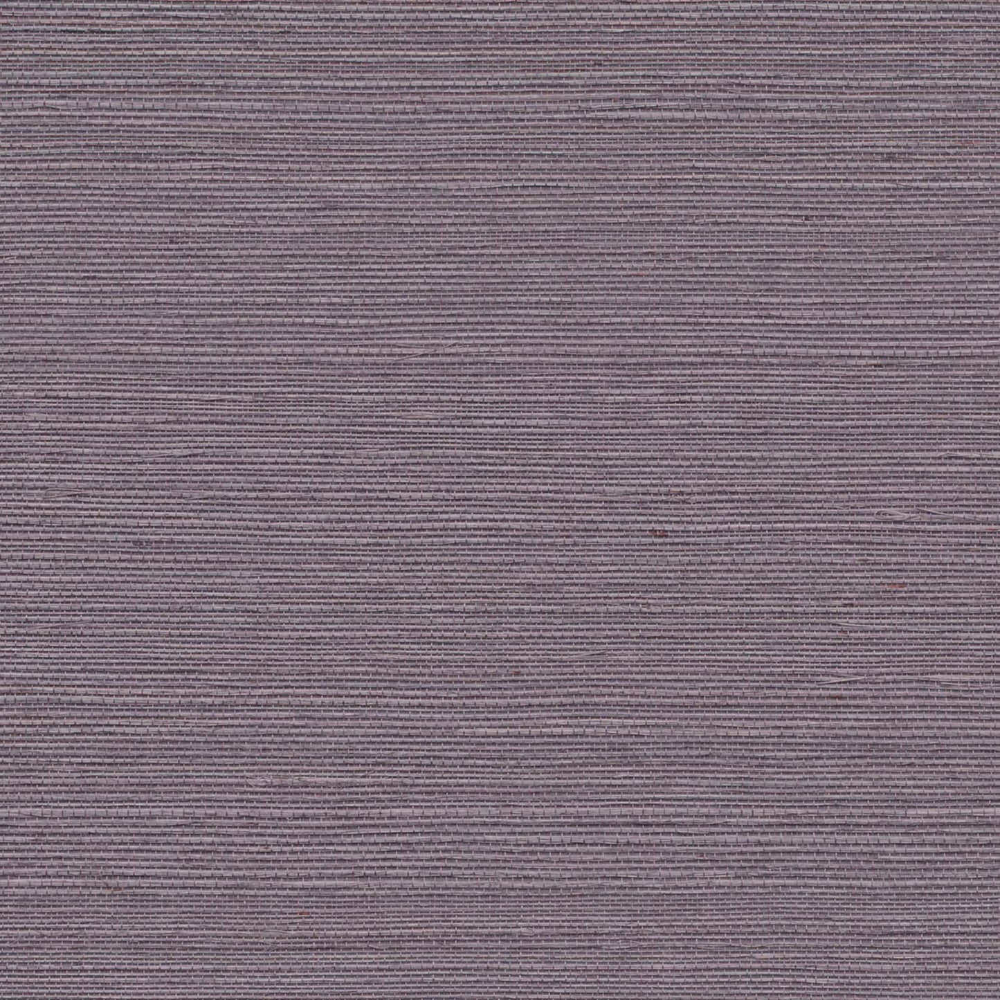 GV0122NW - Grasscloth And Natural Resource Maguey Sisal