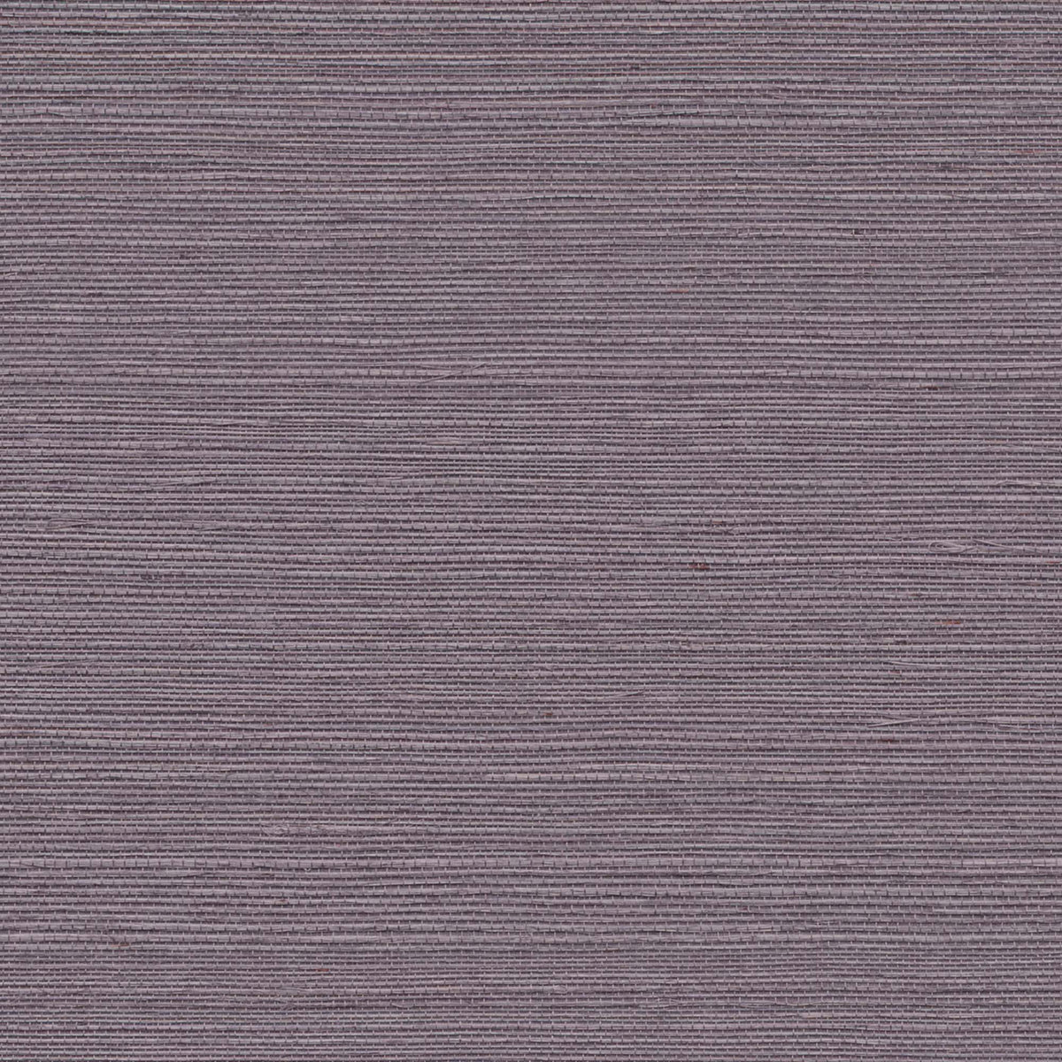 MAGUEY SISAL - Grasscloth And Naturals - Gv0122nw