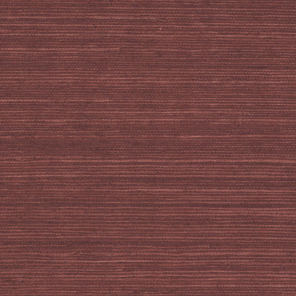 MAGUEY SISAL - Grasscloth And Naturals - Gv0123nw