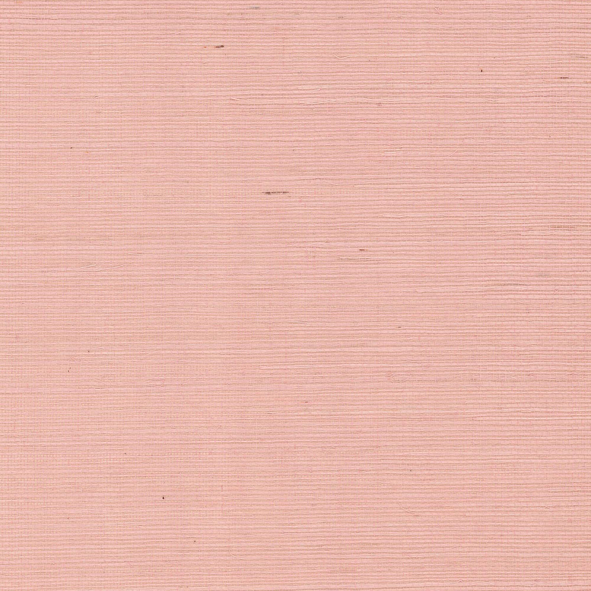 MAGUEY SISAL - Grasscloth And Naturals - Gv0125nw