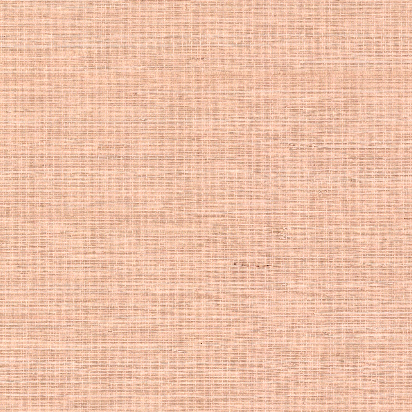 GV0126NW - Grasscloth And Natural Resource Maguey Sisal