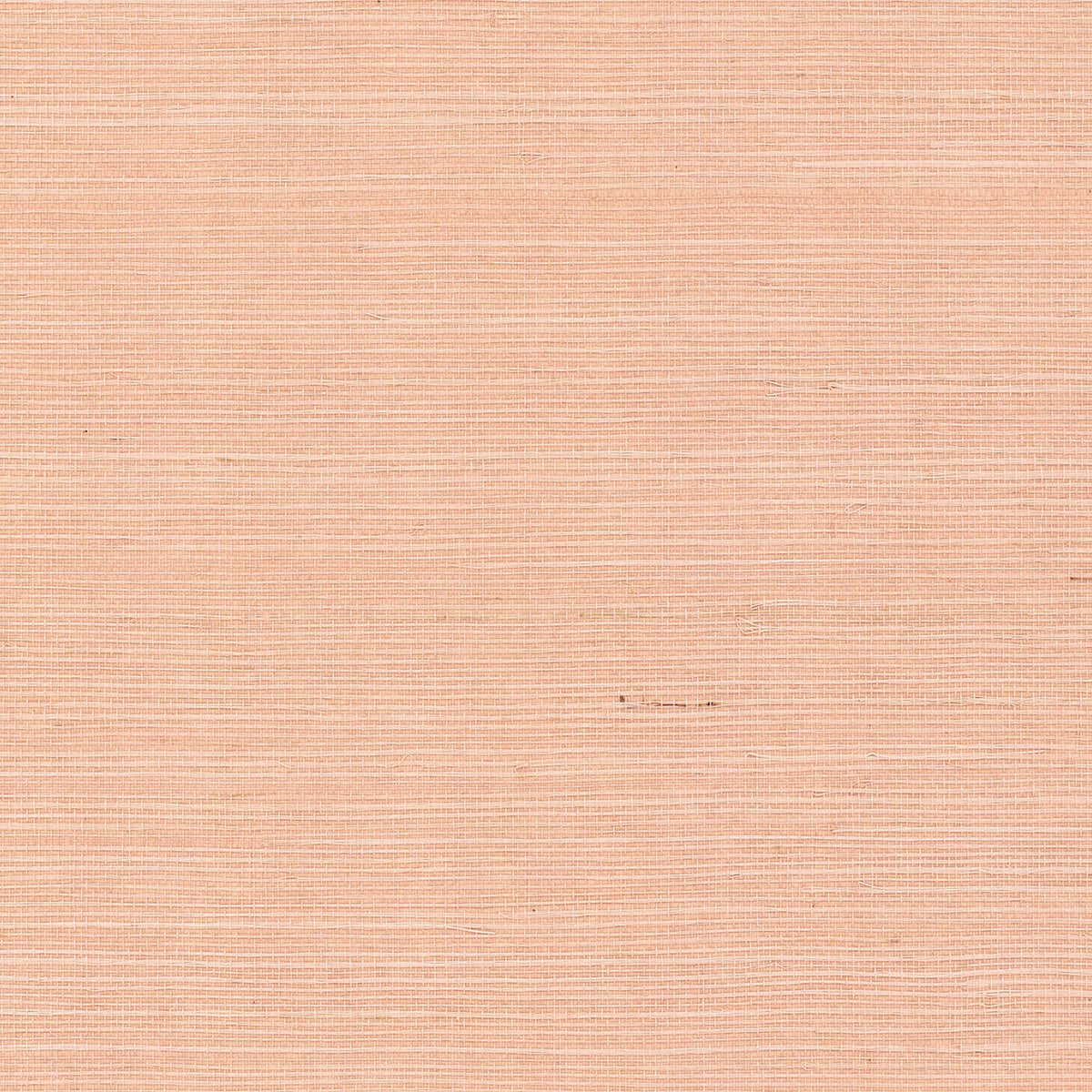 MAGUEY SISAL - Grasscloth And Naturals - Gv0126nw