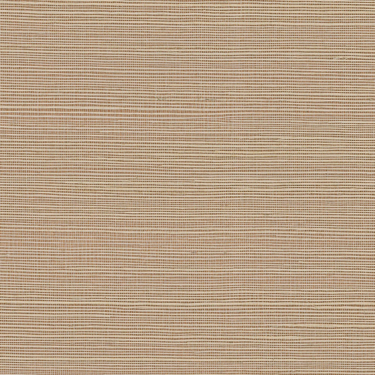MAGUEY SISAL - Grasscloth And Naturals - Gv0129nw