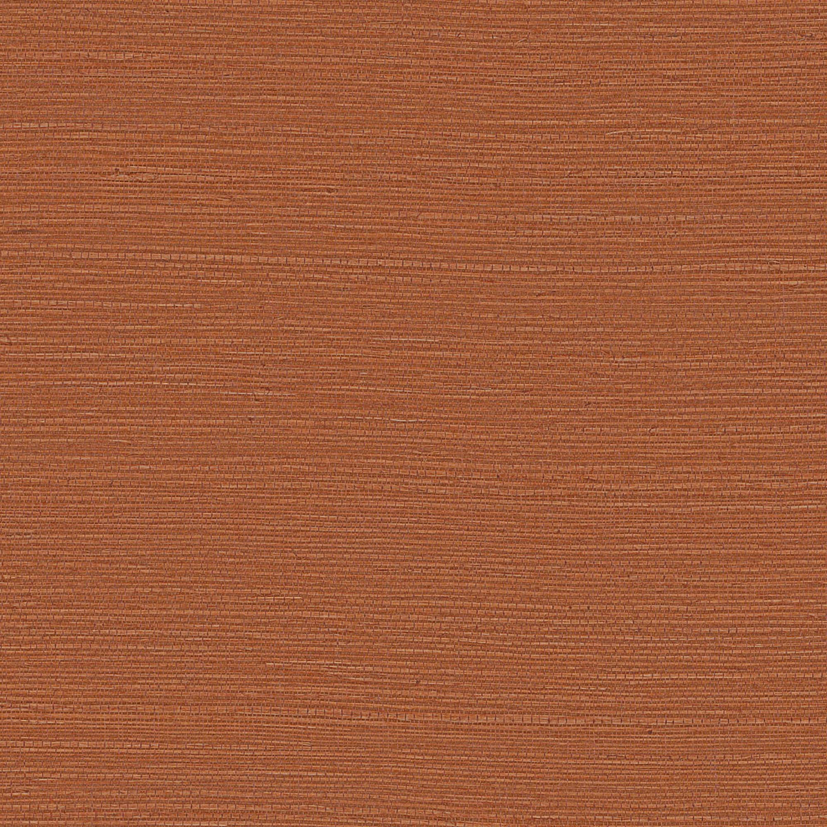 MAGUEY SISAL - Grasscloth And Naturals - Gv0130nw