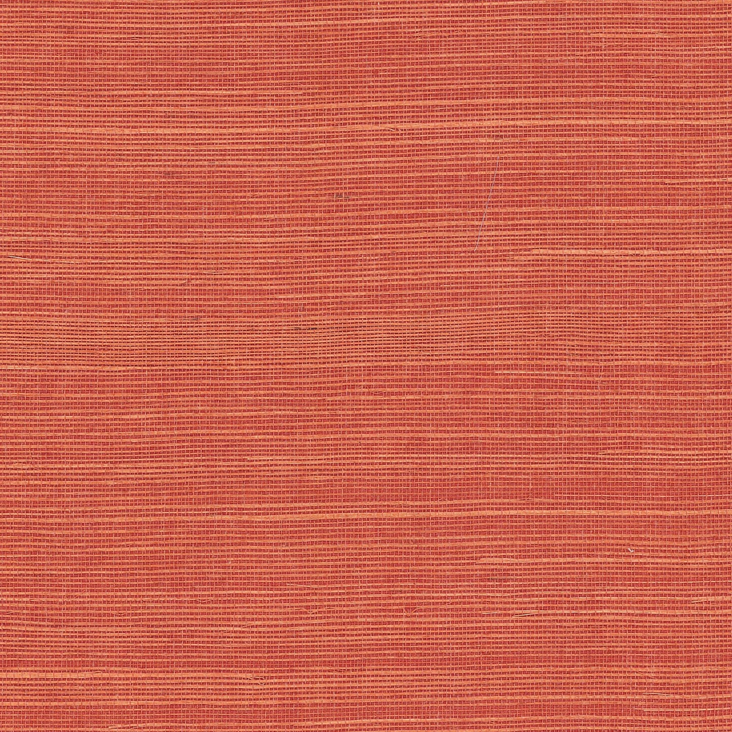 GV0131NW - Grasscloth And Natural Resource Maguey Sisal