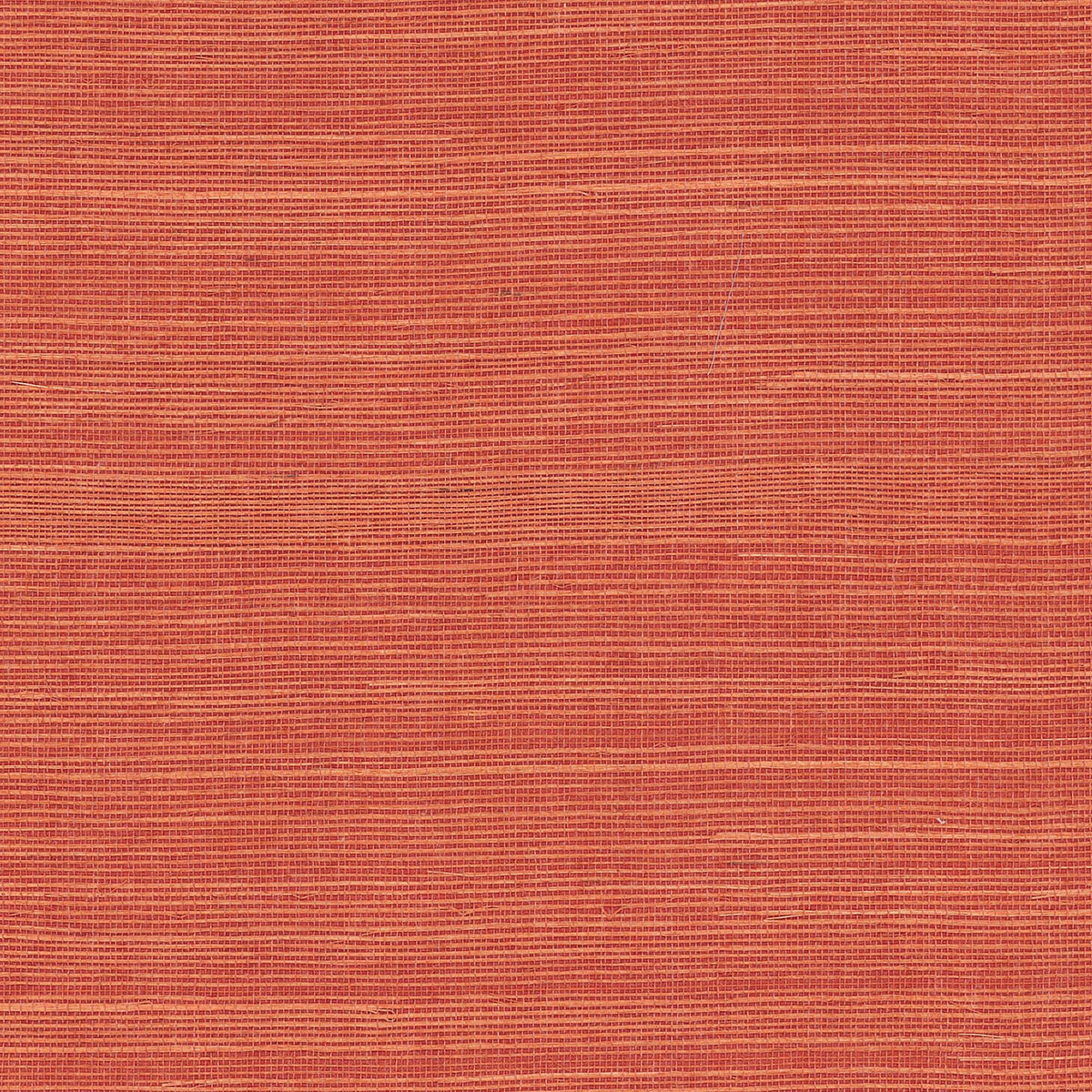 MAGUEY SISAL - Grasscloth And Naturals - Gv0131nw