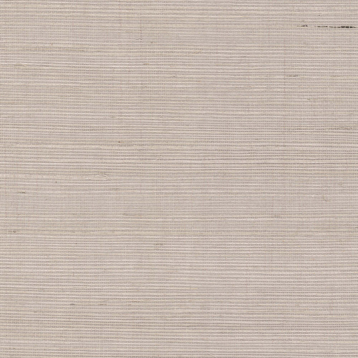 MAGUEY SISAL - Grasscloth And Naturals - Gv0134nw